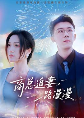 商总追妻路漫漫全集