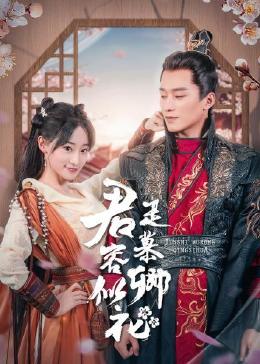 君是慕容卿似花全集