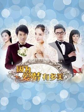 因为爱情有多美DVD全集