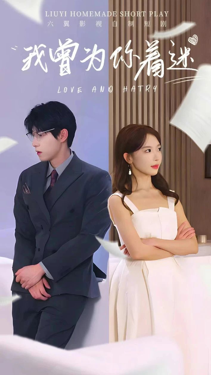 我曾为你着迷全集