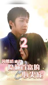 闪婚后成了隐藏首富的心尖宠全集