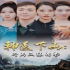 神医下山：开局五张婚书全集