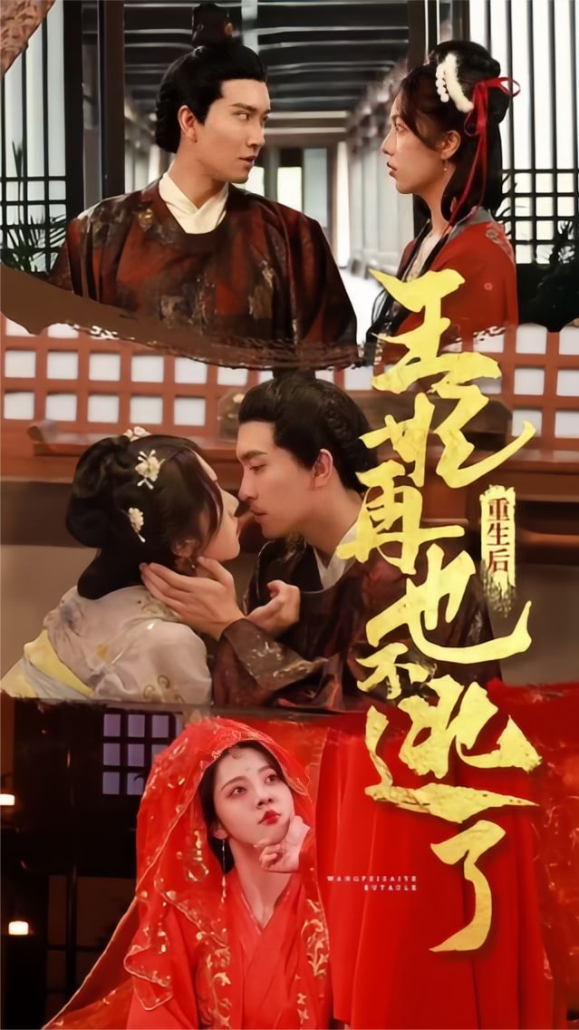 重生后王妃再也不逃了全集