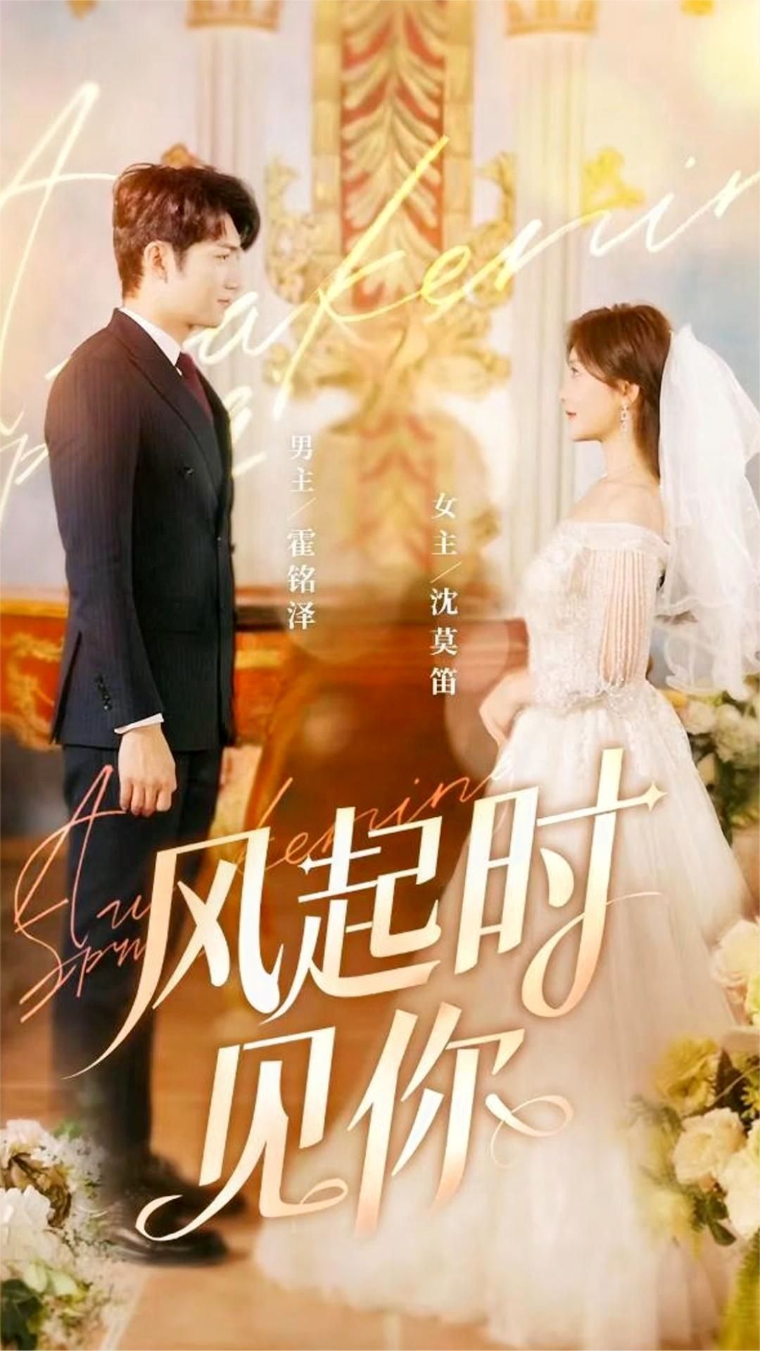 风起时见你全集