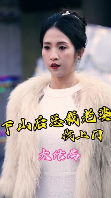 下山后总裁老婆找上门全集
