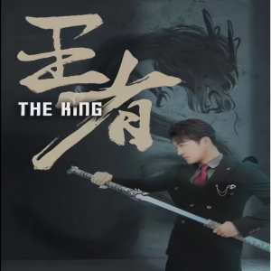 王者短剧版全集