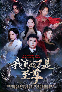 我真的不是至尊全集