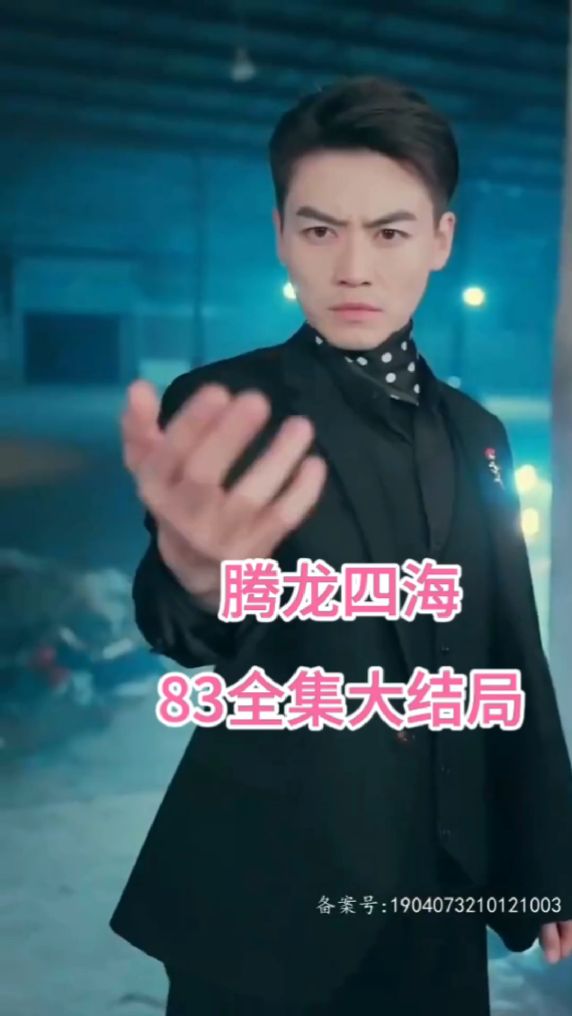 腾龙四海全集