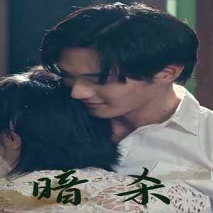 暗杀短剧版全集