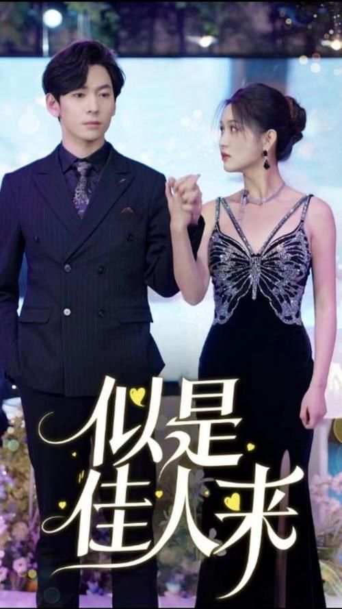 似是佳人来全集