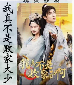 我真不是败家大少全集