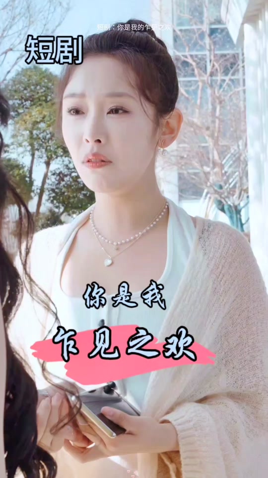 你是我的乍见之欢全集