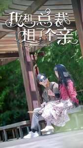 我和总裁相了个亲全集