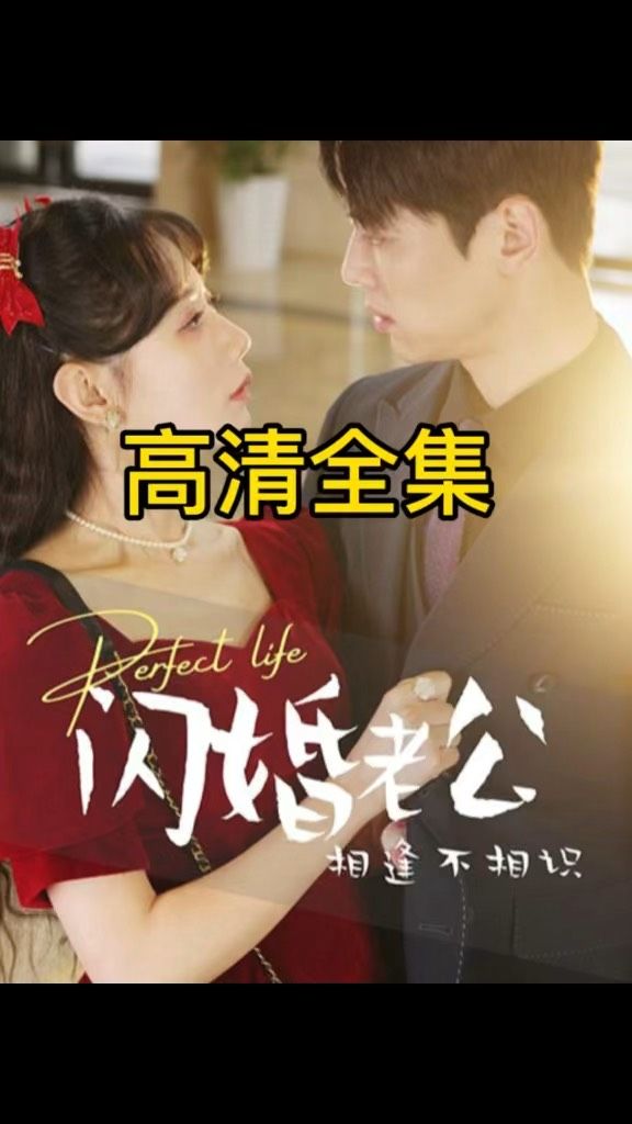 闪婚老公相逢不相识全集