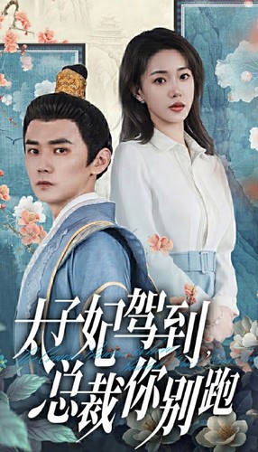 太子妃驾到，总裁你别跑全集