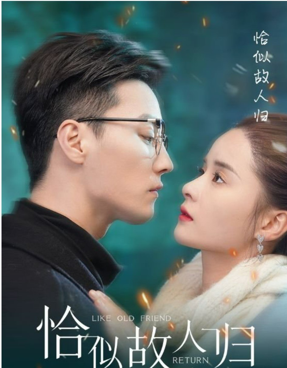 恰似故人归全集