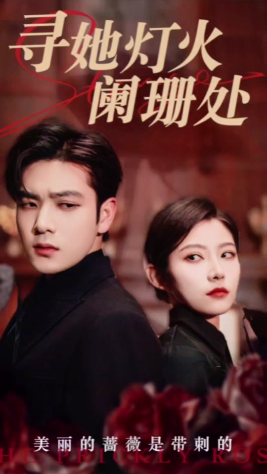 寻她灯火阑珊处全集