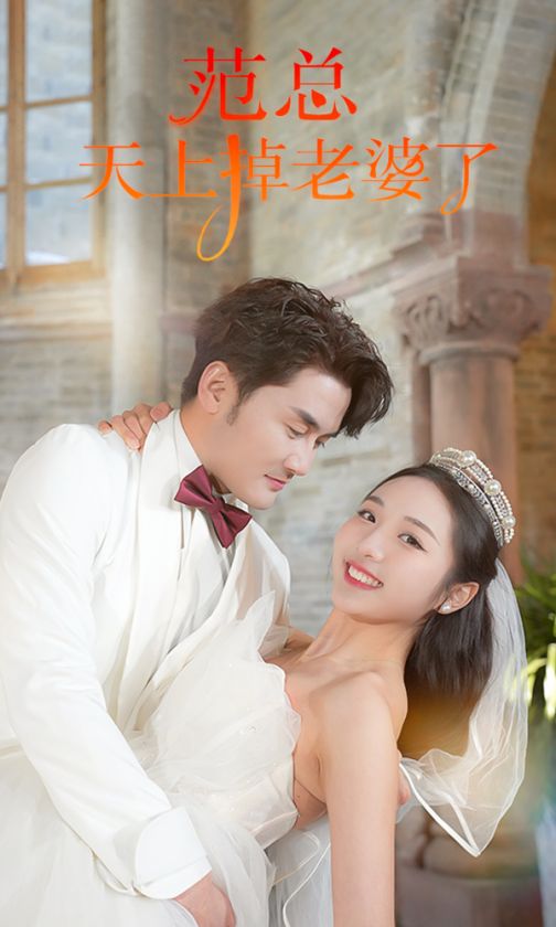 范总，天上掉老婆了全集