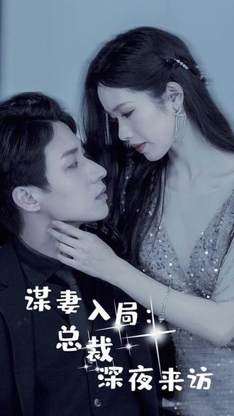 谋妻入局：总裁深夜来访全集