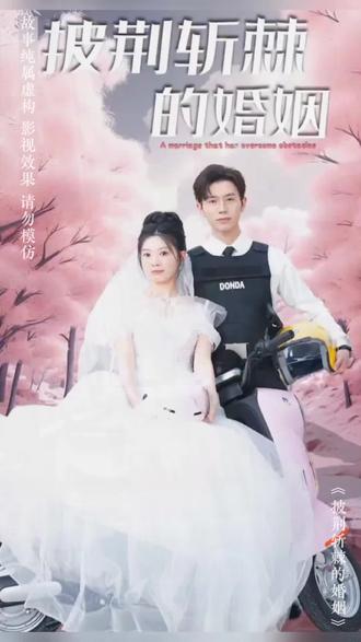 新：披荆斩棘的婚姻全集