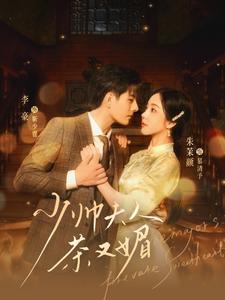 少帅夫人茶又媚全集