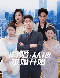 离婚从被求婚开始全集