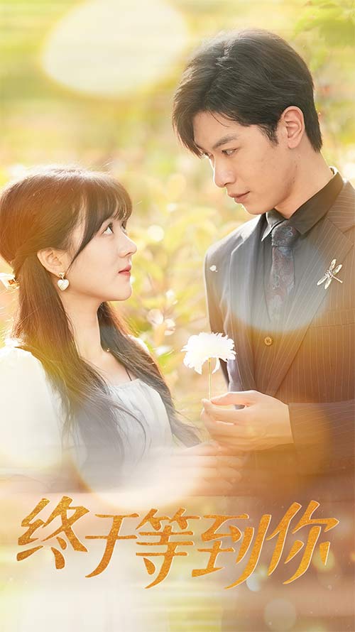 终于等到你$你是我的木槿年华全集