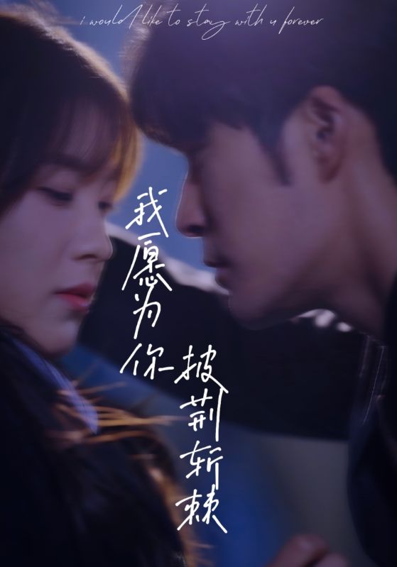 我愿为你披荆斩棘全集