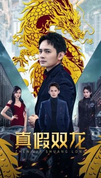 真假双龙全集
