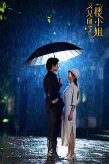 又见面了楼小姐全集