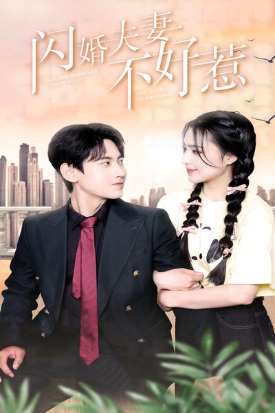 闪婚夫妻不好惹全集