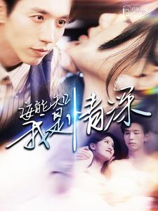 安能知我是情深全集