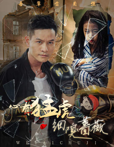 心有猛虎细嗅蔷薇全集