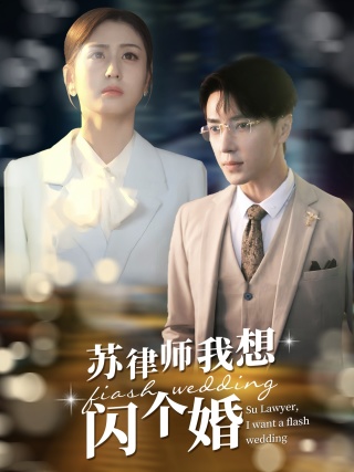 苏律师我想闪个婚$苏大律的社畜女友全集