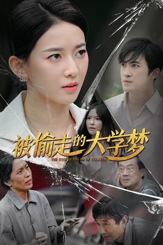 被偷走的大学梦全集