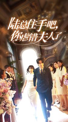 陆总住手吧，你虐错夫人了全集