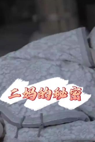 二妈的秘密全集
