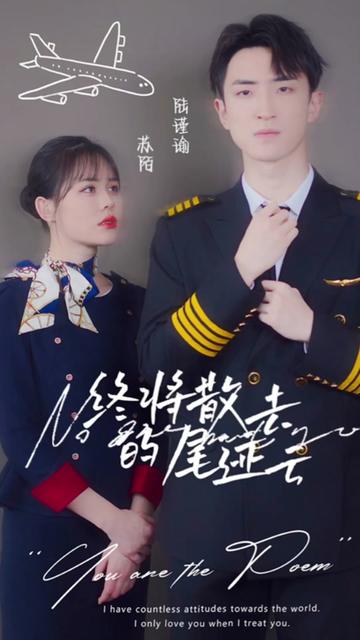 终将散去的尾迹云全集