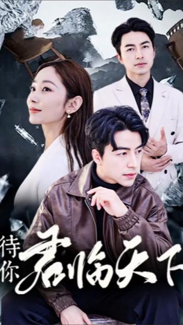 待你君临天下全集