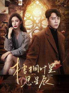 梧桐叶里思星辰全集