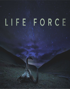 生命的力量(全集)