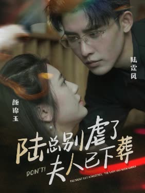 陆总别虐了，夫人已下葬全集