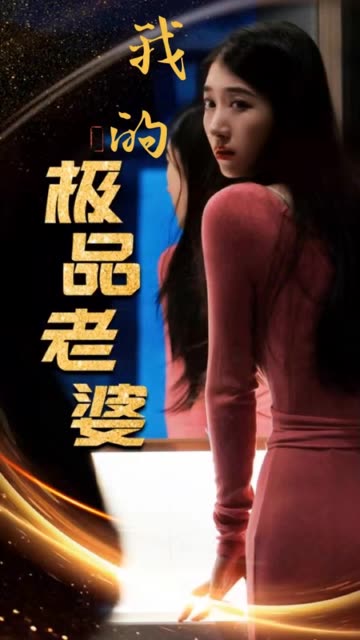 我的极品老婆全集