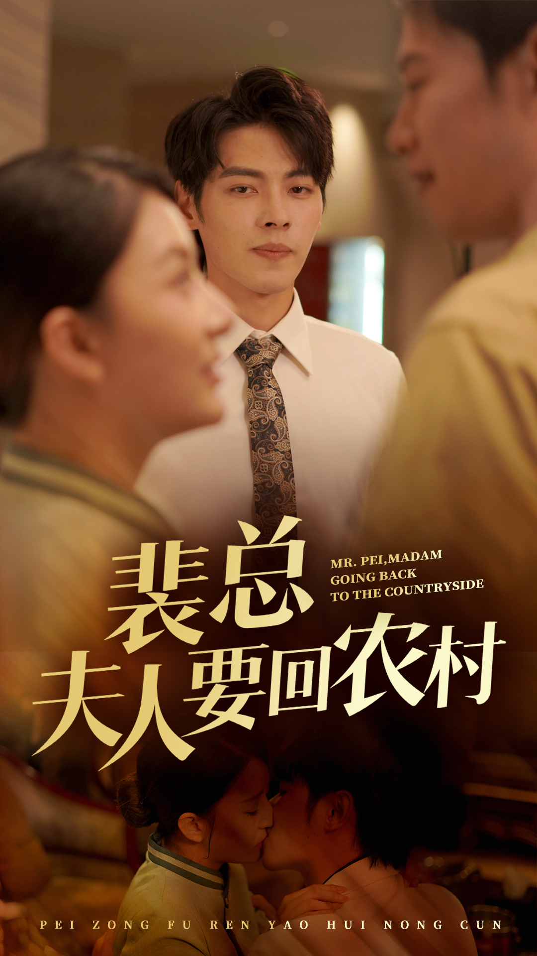 裴总夫人要回农村全集