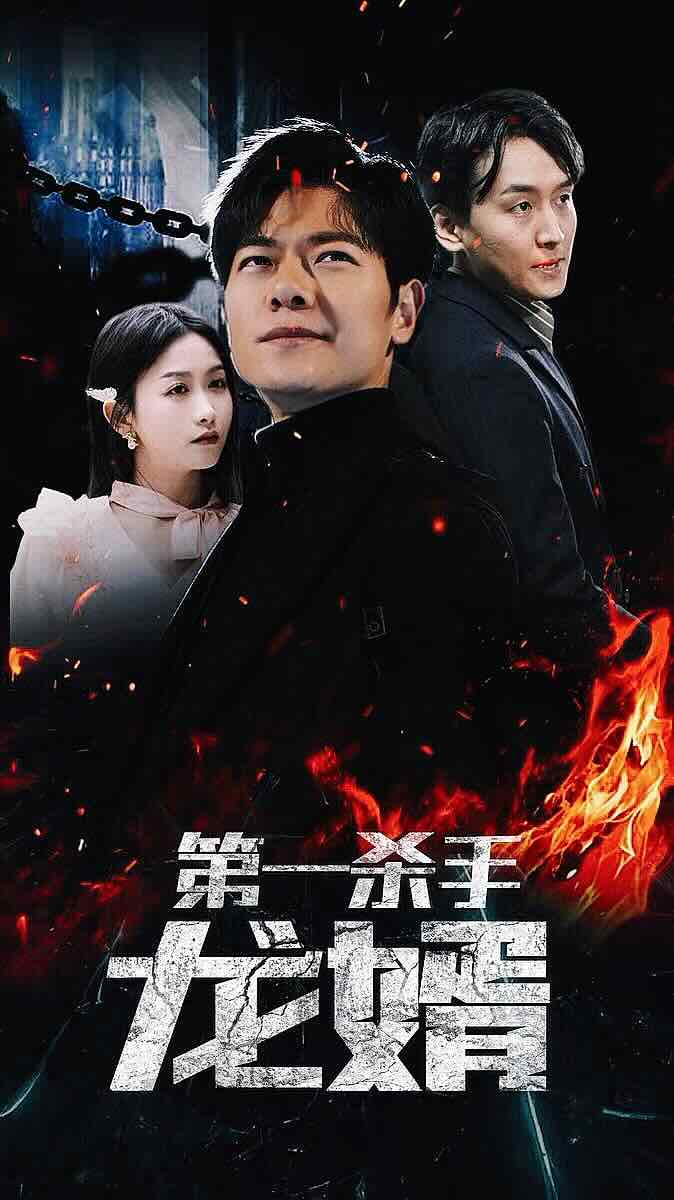 第一杀手龙婿全集