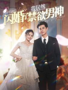 我居然闪婚了禁欲男神 &失忆后男神成了她老公全集