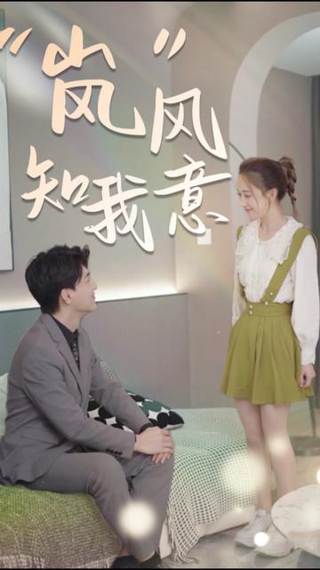 “岚”风知我意全集