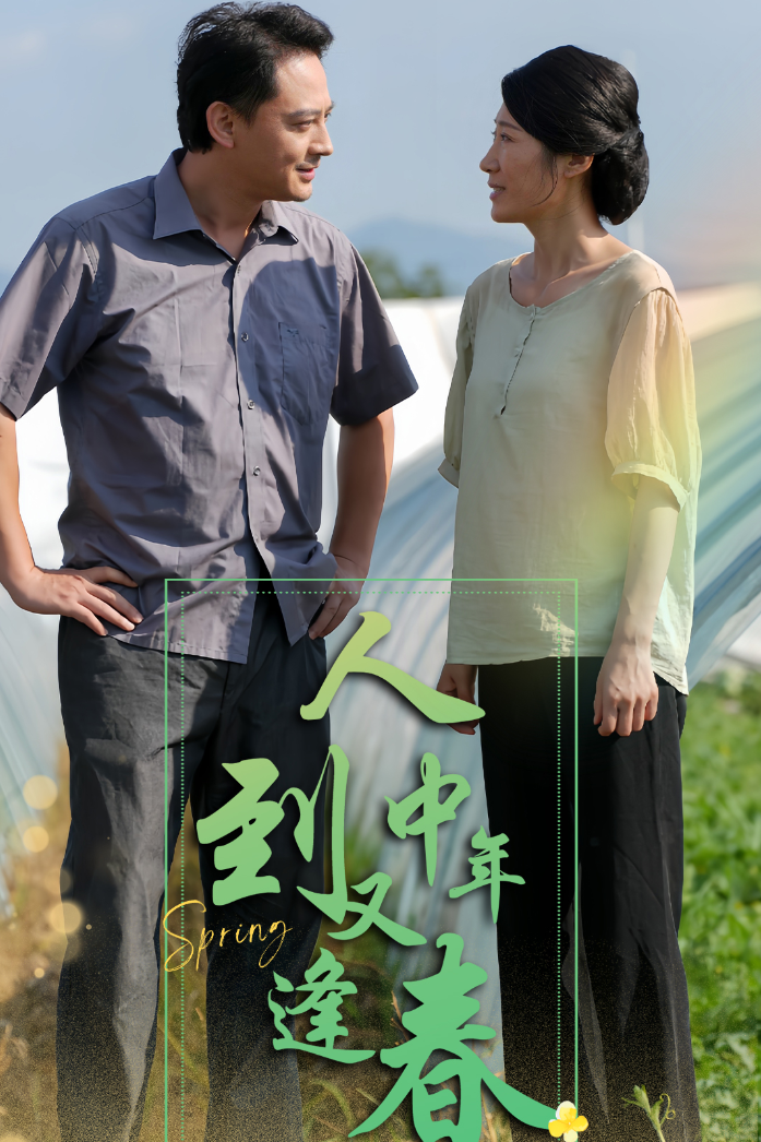 人到中年又逢春全集