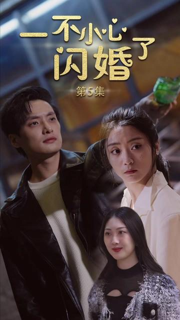 一不小心闪了婚全集