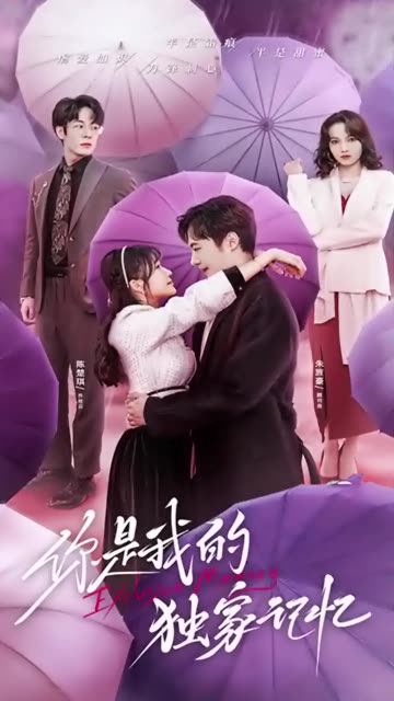 你是我的独家记忆全集